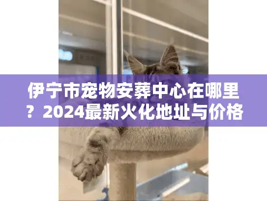 伊宁市宠物安葬中心在哪里？2024最新火化地址与价格内幕