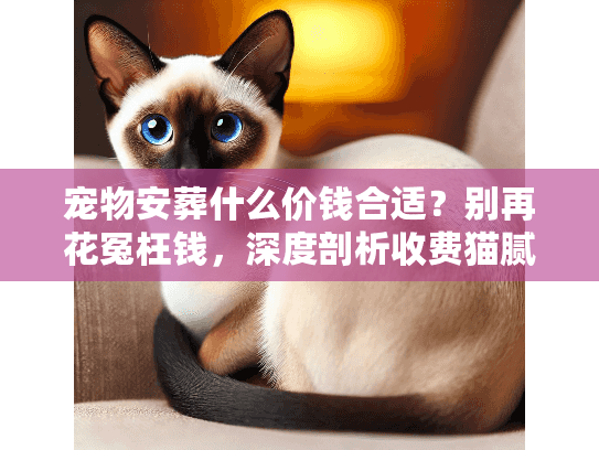 宠物安葬什么价钱合适？别再花冤枉钱，深度剖析收费猫腻