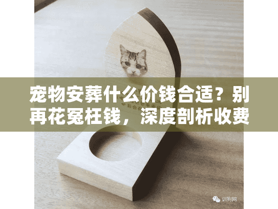 宠物安葬什么价钱合适？别再花冤枉钱，深度剖析收费猫腻