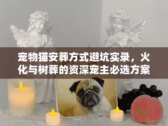 宠物猫安葬方式避坑实录,火化与树葬的资深宠主必选方案 宠物猫安葬方式避坑实录,火化与树葬的资深宠主必选方案