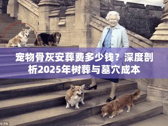 宠物骨灰安葬费多少钱？深度剖析2025年树葬与墓穴成本