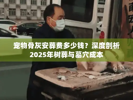 宠物骨灰安葬费多少钱？深度剖析2025年树葬与墓穴成本