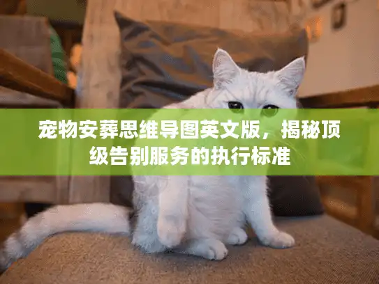 宠物安葬思维导图英文版，揭秘顶级告别服务的执行标准