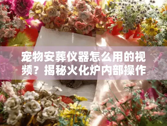 宠物安葬仪器怎么用的视频？揭秘火化炉内部操作全流程