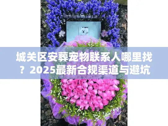 城关区安葬宠物联系人哪里找？2025最新合规渠道与避坑实况