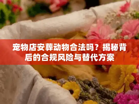 宠物店安葬动物合法吗？揭秘背后的合规风险与替代方案