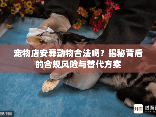 宠物店安葬动物合法吗？揭秘背后的合规风险与替代方案