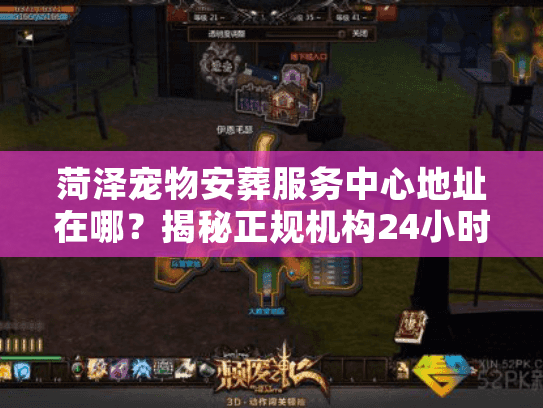 菏泽宠物安葬服务中心地址在哪？揭秘正规机构24小时接送流程