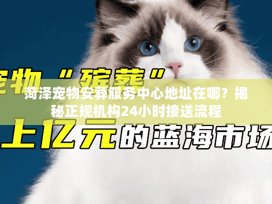 菏泽宠物安葬服务中心地址在哪？揭秘正规机构24小时接送流程