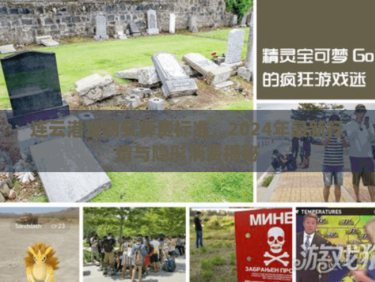 连云港宠物安葬费标准，2024年最新行情与隐形消费揭秘