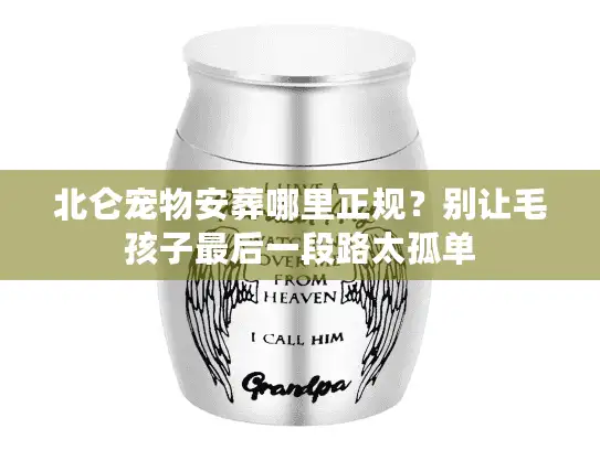 北仑宠物安葬哪里正规?别让毛孩子最后一段路太孤单 北仑宠物安葬哪里正规?别让毛孩子最后一段路太孤单