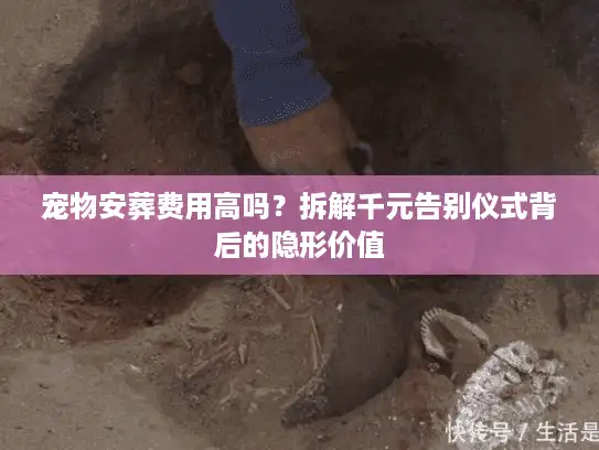 宠物安葬费用高吗？拆解千元告别仪式背后的隐形价值