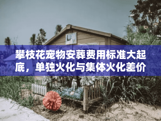 攀枝花宠物安葬费用标准大起底，单独火化与集体火化差价惊人