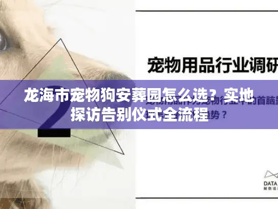 龙海市宠物狗安葬园怎么选？实地探访告别仪式全流程