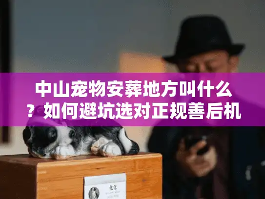中山宠物安葬地方叫什么?如何避坑选对正规善后机构 中山宠物安葬地方叫什么?如何避坑选对正规善后机构