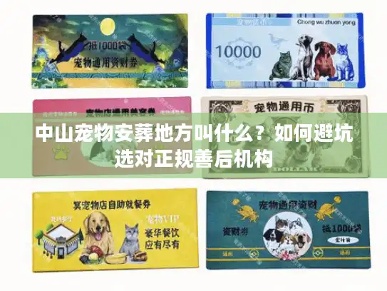 中山宠物安葬地方叫什么?如何避坑选对正规善后机构 中山宠物安葬地方叫什么?如何避坑选对正规善后机构