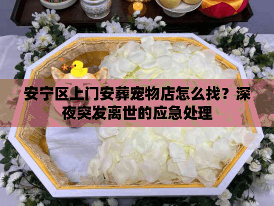 安宁区上门安葬宠物店怎么找？深夜突发离世的应急处理