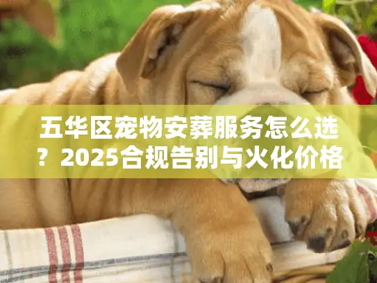 五华区宠物安葬服务怎么选？2025合规告别与火化价格揭秘