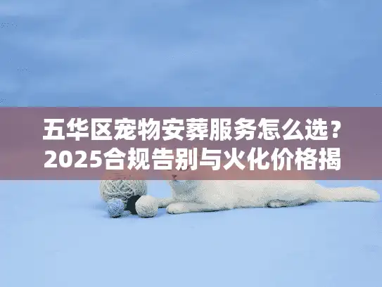 五华区宠物安葬服务怎么选？2025合规告别与火化价格揭秘