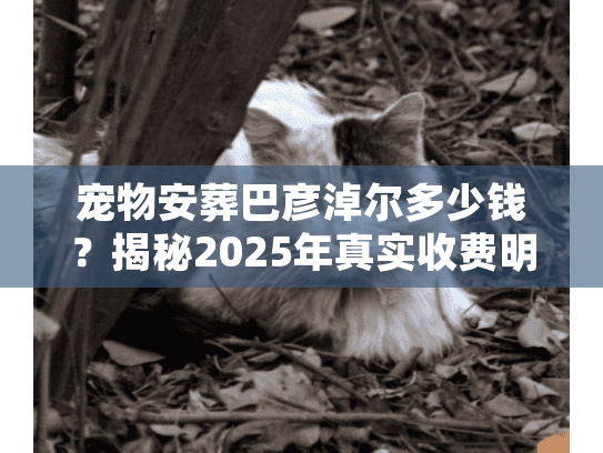 宠物安葬巴彦淖尔多少钱?揭秘2025年真实收费明细 宠物安葬巴彦淖尔多少钱?揭秘2025年真实收费明细
