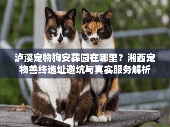 泸溪宠物狗安葬园在哪里？湘西宠物善终选址避坑与真实服务解析