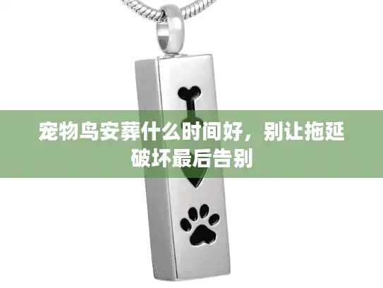 宠物鸟安葬什么时间好,别让拖延破坏最后告别 宠物鸟安葬什么时间好,别让拖延破坏最后告别