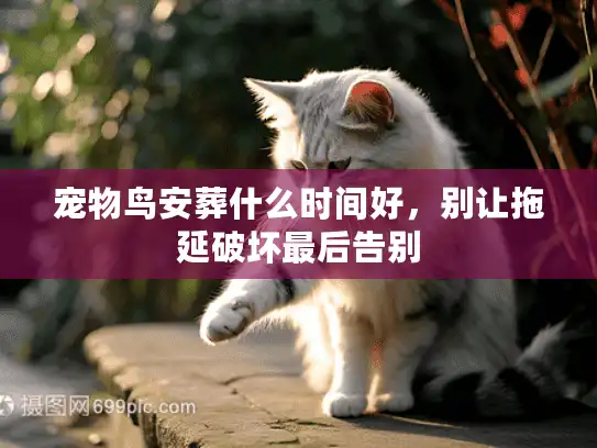 宠物鸟安葬什么时间好,别让拖延破坏最后告别 宠物鸟安葬什么时间好,别让拖延破坏最后告别