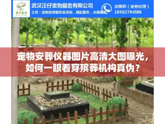 宠物安葬仪器图片高清大图曝光，如何一眼看穿殡葬机构真伪？