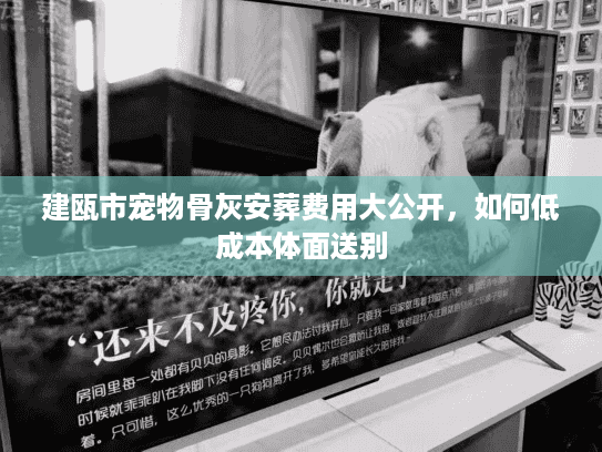 建瓯市宠物骨灰安葬费用大公开，如何低成本体面送别