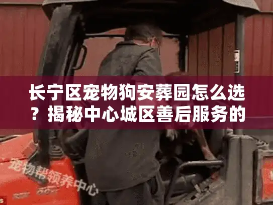 长宁区宠物狗安葬园怎么选？揭秘中心城区善后服务的避坑实录