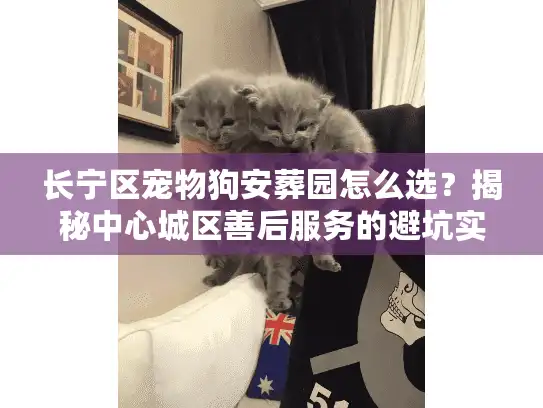 长宁区宠物狗安葬园怎么选？揭秘中心城区善后服务的避坑实录