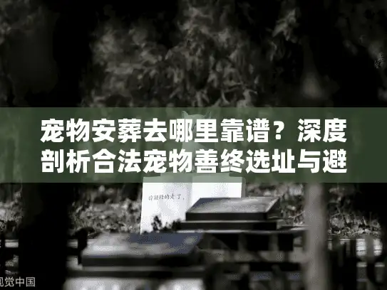 宠物安葬去哪里靠谱?深度剖析合法宠物善终选址与避坑 宠物安葬去哪里靠谱?深度剖析合法宠物善终选址与避坑