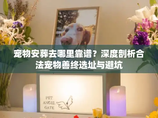 宠物安葬去哪里靠谱?深度剖析合法宠物善终选址与避坑 宠物安葬去哪里靠谱?深度剖析合法宠物善终选址与避坑