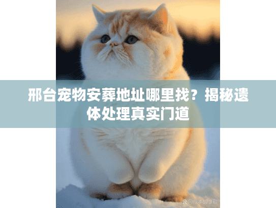 邢台宠物安葬地址哪里找？揭秘遗体处理真实门道