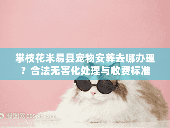 攀枝花米易县宠物安葬去哪办理？合法无害化处理与收费标准