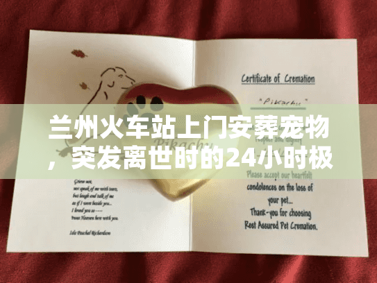 兰州火车站上门安葬宠物，突发离世时的24小时极速善别
