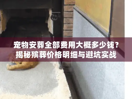 宠物安葬全部费用大概多少钱？揭秘殡葬价格明细与避坑实战
