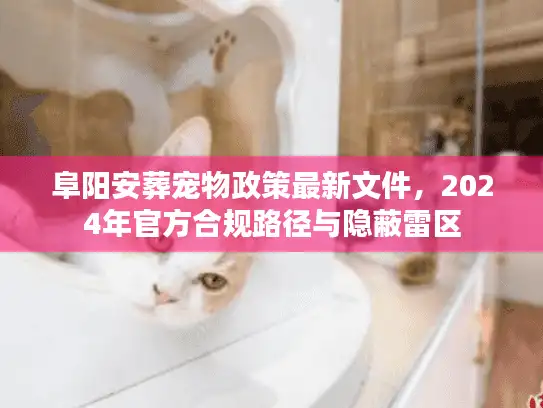 阜阳安葬宠物政策最新文件，2024年官方合规路径与隐蔽雷区