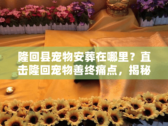 隆回县宠物安葬在哪里？直击隆回宠物善终痛点，揭秘合法告别仪式选址