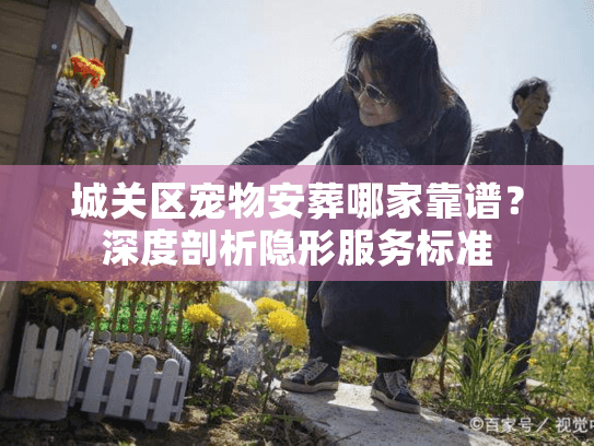 城关区宠物安葬哪家靠谱？深度剖析隐形服务标准