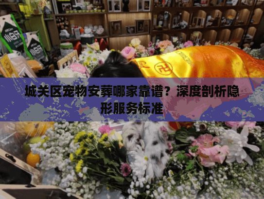 城关区宠物安葬哪家靠谱？深度剖析隐形服务标准