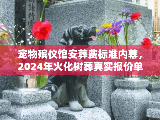 宠物殡仪馆安葬费标准内幕，2024年火化树葬真实报价单