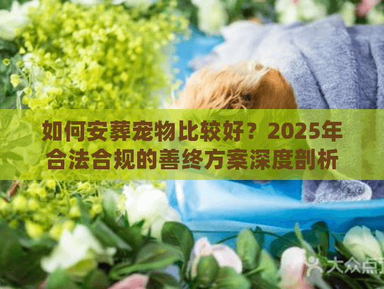 如何安葬宠物比较好？2025年合法合规的善终方案深度剖析