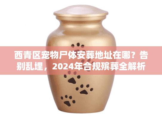 西青区宠物尸体安葬地址在哪？告别乱埋，2024年合规殡葬全解析