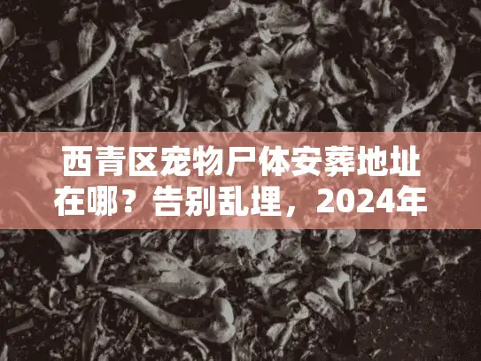 西青区宠物尸体安葬地址在哪？告别乱埋，2024年合规殡葬全解析