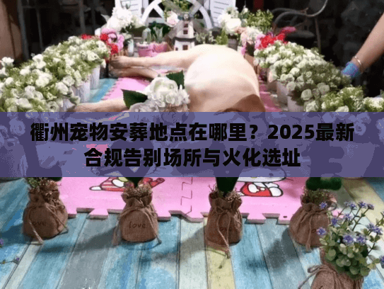 衢州宠物安葬地点在哪里?2025最新合规告别场所与火化选址 衢州宠物安葬地点在哪里?2025最新合规告别场所与火化选址