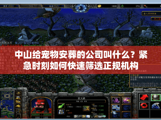 中山给宠物安葬的公司叫什么？紧急时刻如何快速筛选正规机构