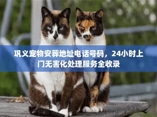 巩义宠物安葬地址电话号码，24小时上门无害化处理服务全收录