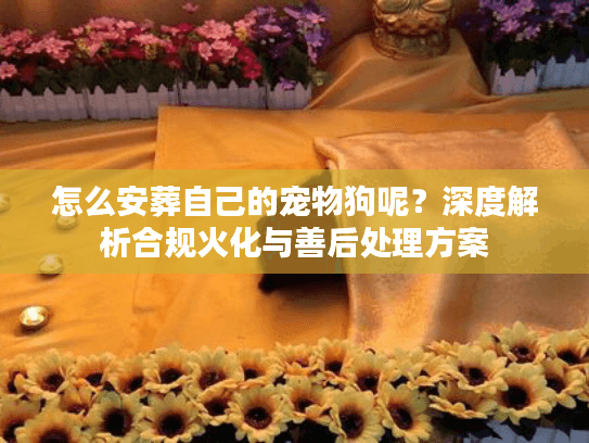 怎么安葬自己的宠物狗呢？深度解析合规火化与善后处理方案