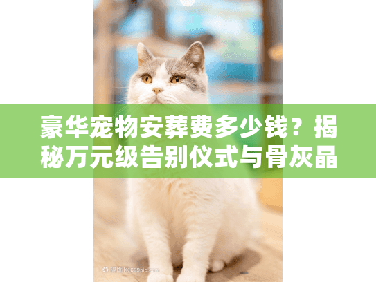 豪华宠物安葬费多少钱?揭秘万元级告别仪式与骨灰晶石真实报价 豪华宠物安葬费多少钱?揭秘万元级告别仪式与骨灰晶石真实报价